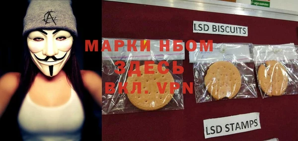 ПСИЛОЦИБИНОВЫЕ ГРИБЫ Алексеевка