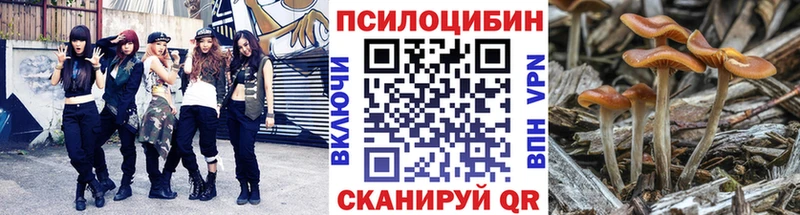 Псилоцибиновые грибы мицелий  Самара 